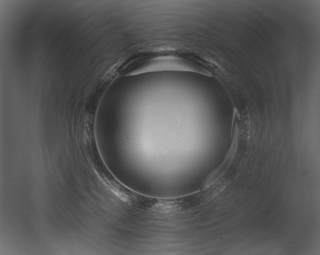 X0000052990280200507081157