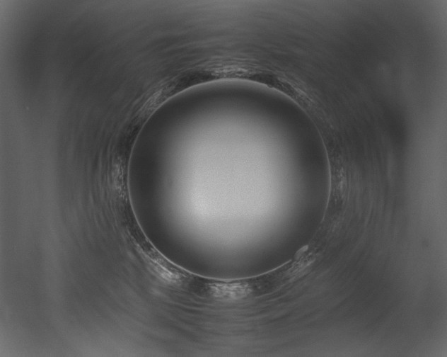 X0000052990281200507081157
