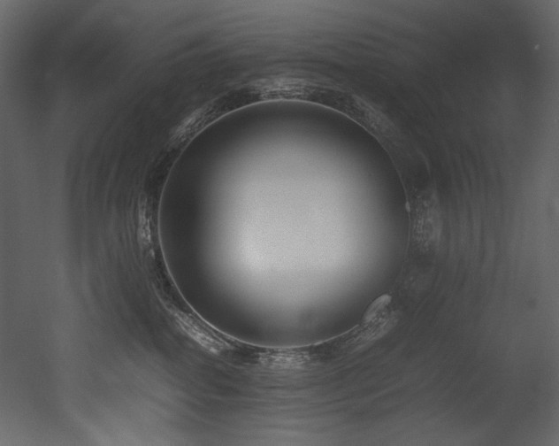 X0000052990282200507081157