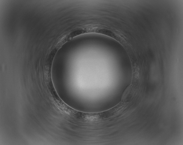 X0000052990283200507081157
