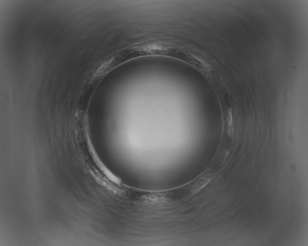 X0000052990284200507081157