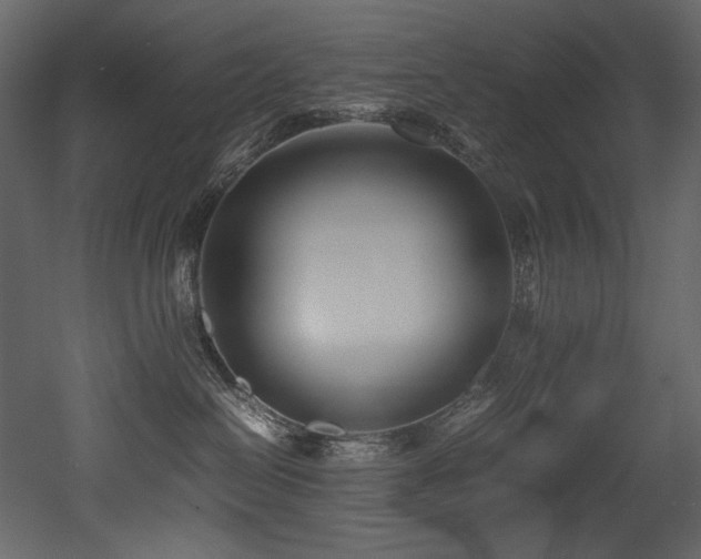 X0000052990286200507081157