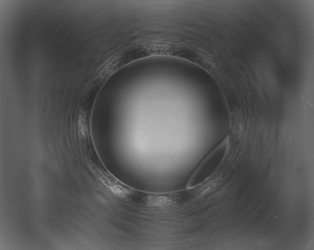 X0000052990287200507081157
