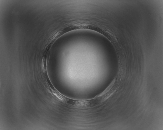 X0000052990288200507081157