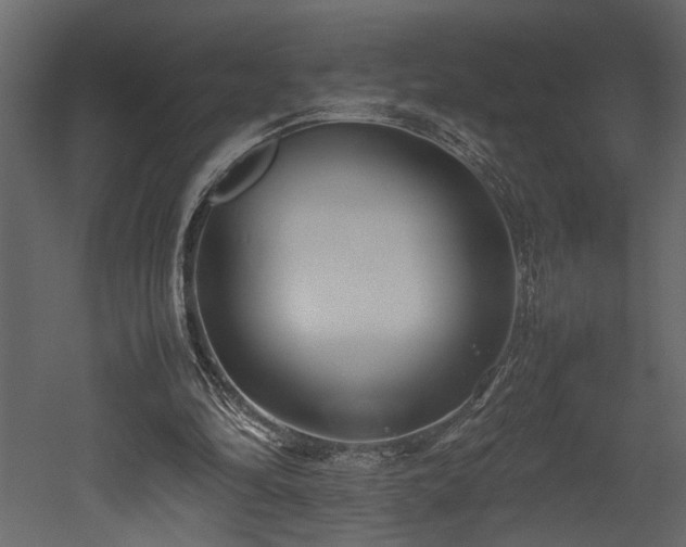 X0000052990294200507081156