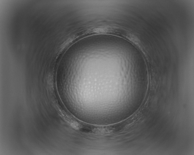 X0000052990297200507081156