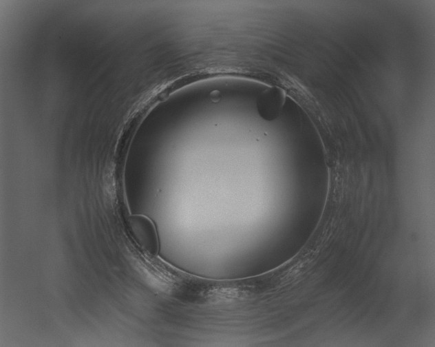 X0000052990298200507081156