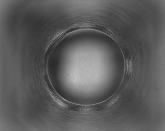 X0000052990301200507081156