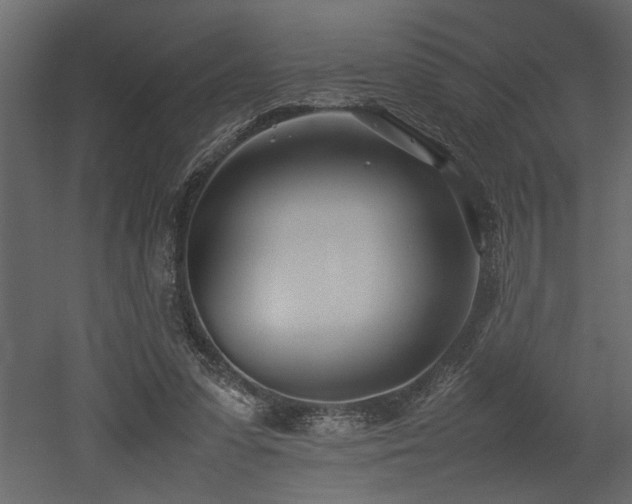 X0000052990303200507081156