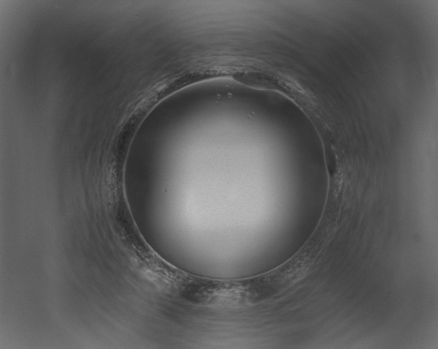 X0000052990306200507081156