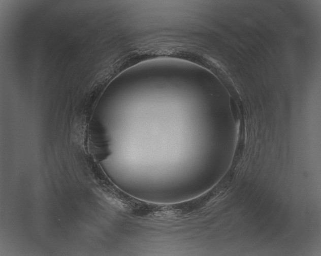 X0000052990307200507081156