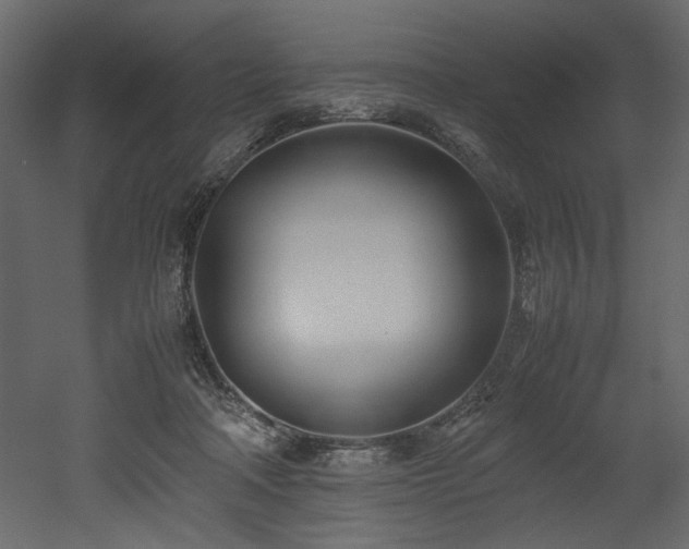 X0000052990314200507081156