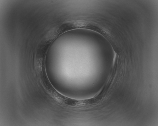 X0000052990315200507081156