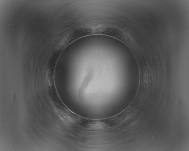 X0000052990316200507081156