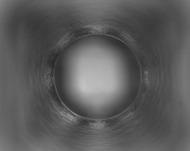 X0000052990318200507081156