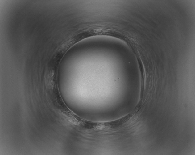 X0000052990319200507081156