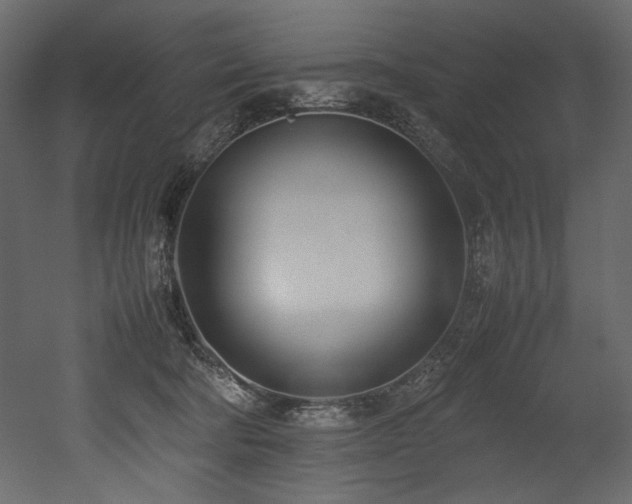 X0000052990322200507081156