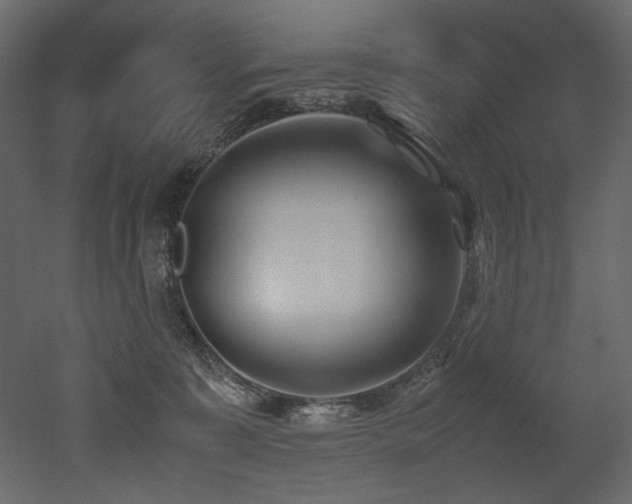 X0000052990323200507081156