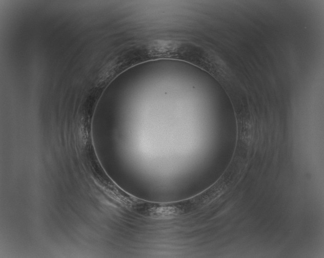 X0000052990324200507081156