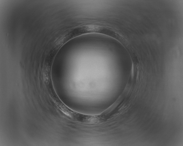 X0000052990325200507081156