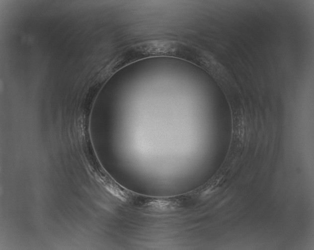 X0000052990326200507081156