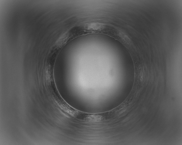 X0000052990328200507081156