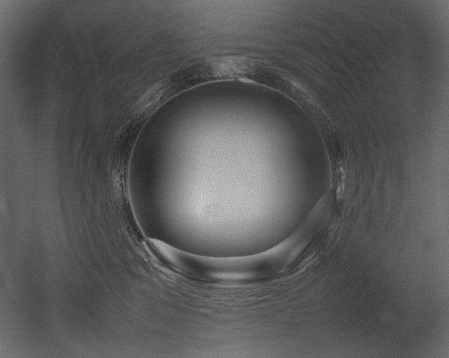 X0000052990329200507081156
