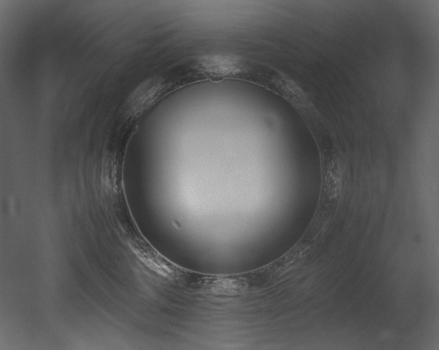X0000052990330200507081156