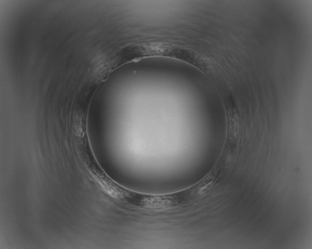 X0000052990331200507081156