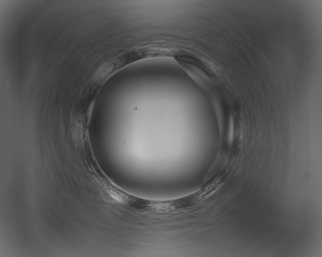 X0000052990333200507081156