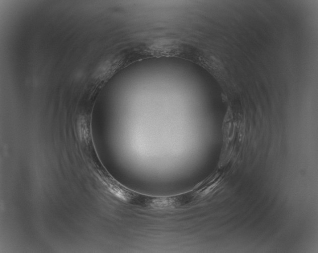 X0000052990335200507081156