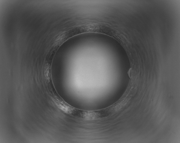 X0000052990336200507081156