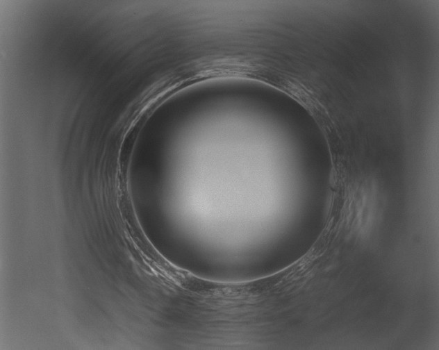 X0000052990338200507081155