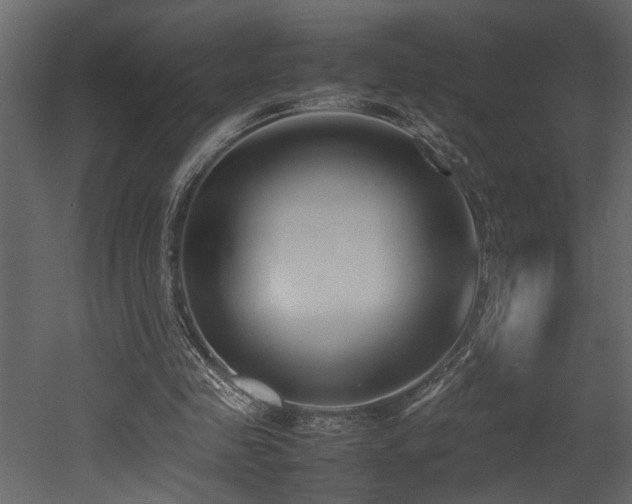X0000052990341200507081155