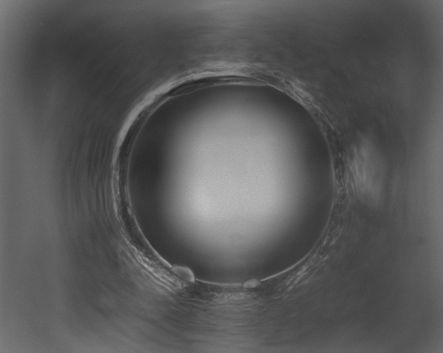 X0000052990342200507081155