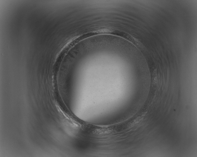 X0000052990351200507081155