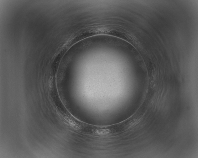 X0000052990355200507081155