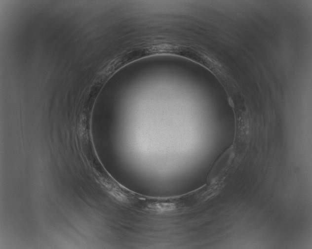 X0000052990361200507081155
