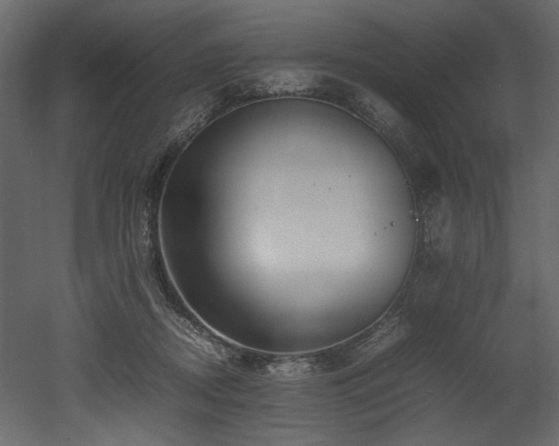 X0000052990362200507081155