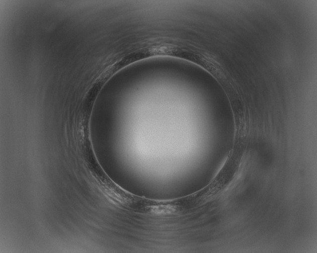 X0000052990363200507081155