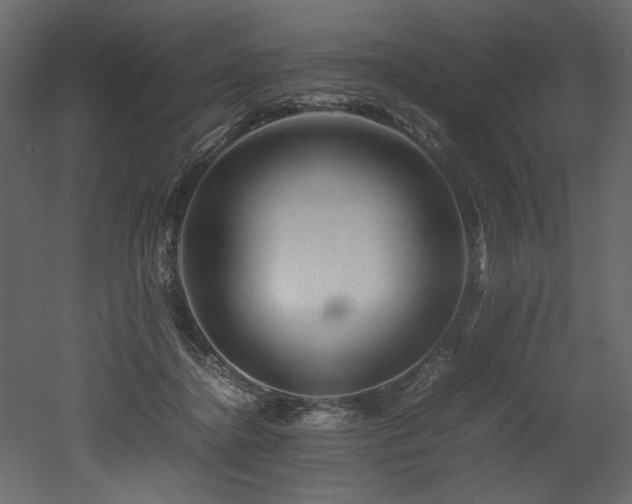 X0000052990364200507081155