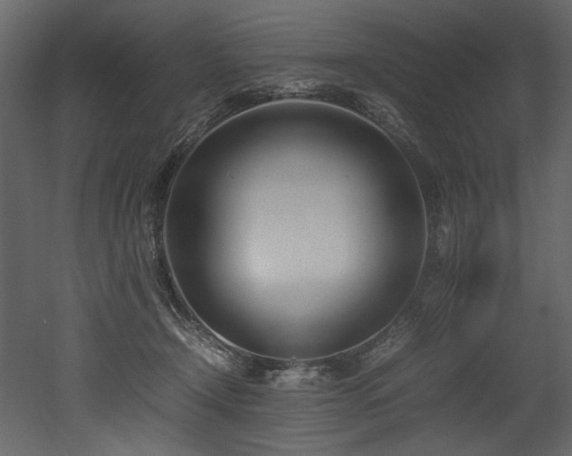 X0000052990366200507081155