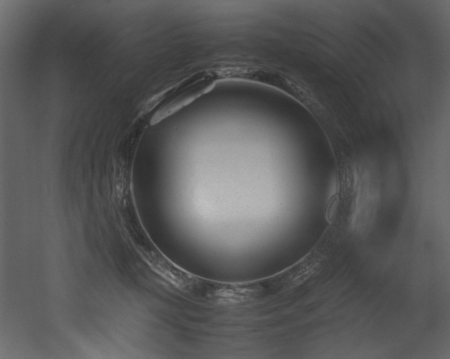 X0000052990367200507081155