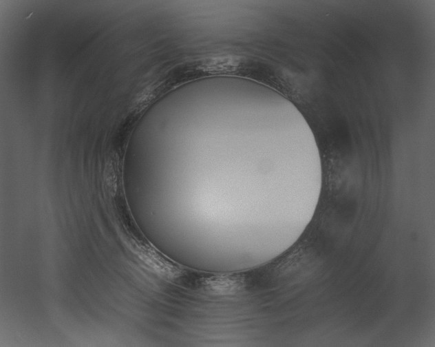 X0000052990370200507081155