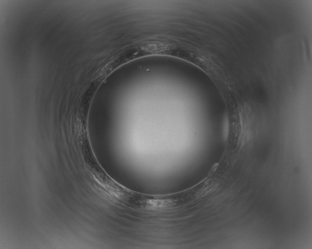 X0000052990371200507081155