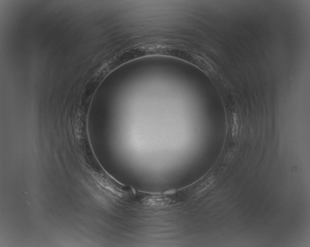 X0000052990372200507081155