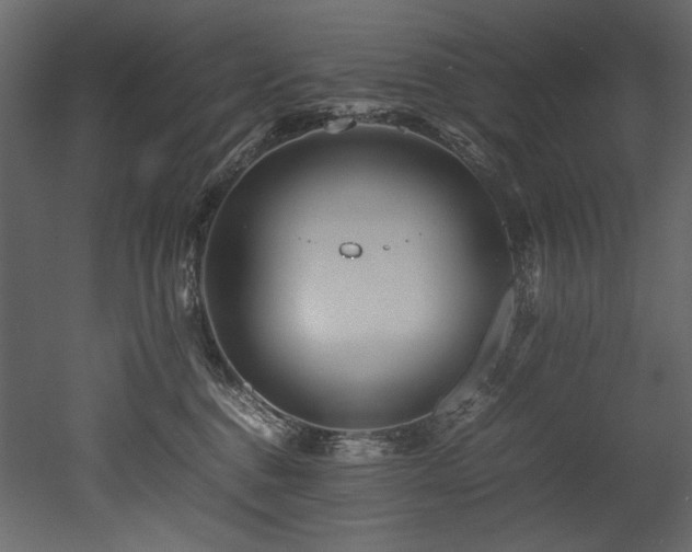 X0000052990376200507081155