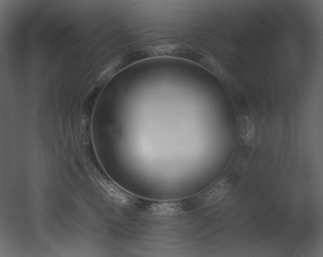 X0000052990378200507081155