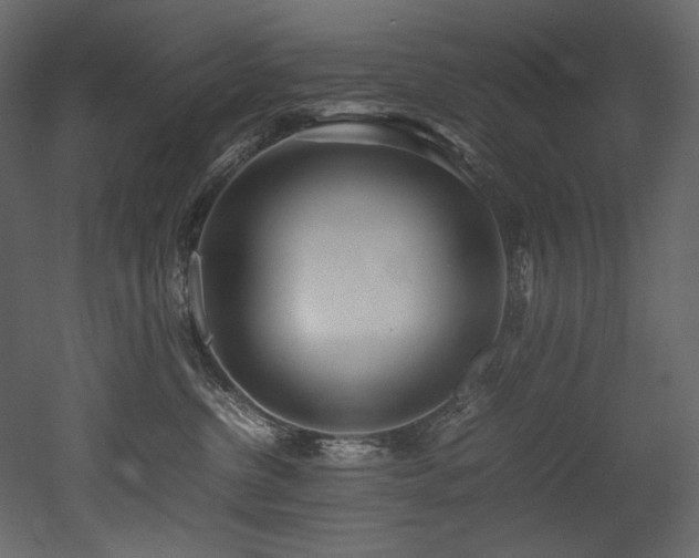 X0000052990380200507081155