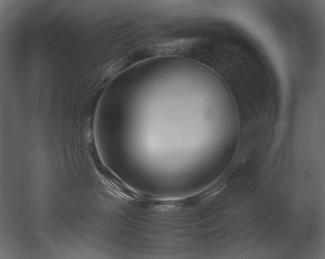 X0000052990383200507081156